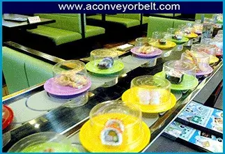 Food Conveyor Belt Supplier