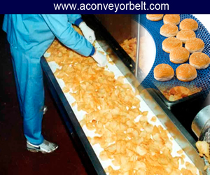 conveyor-belt-for-food-industry