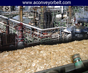 conveyors-belt-chemical-industry