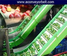 food-conveyor-belt
