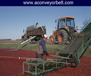  conveyor belt  for agriculture industry
